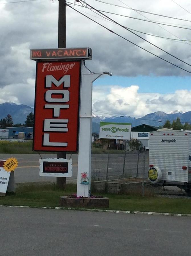 Flamingo Motel Cranbrook Extérieur photo